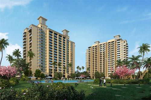 姜工钓虾虾米饭