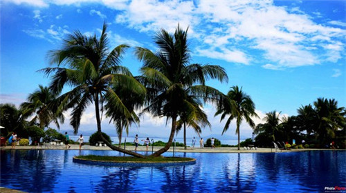 烹品五味啫啫锅