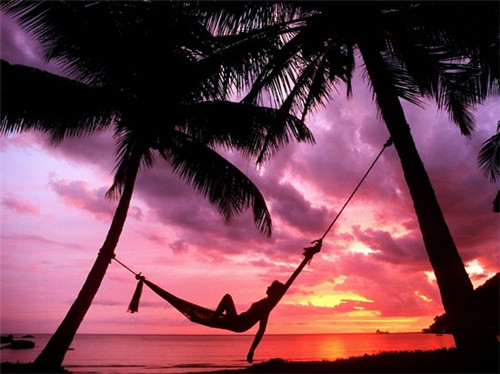 阿胶口服液品牌排行榜