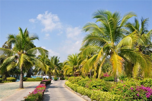 奶茶店面要多大才够，pbear北极熊加盟挣钱吗