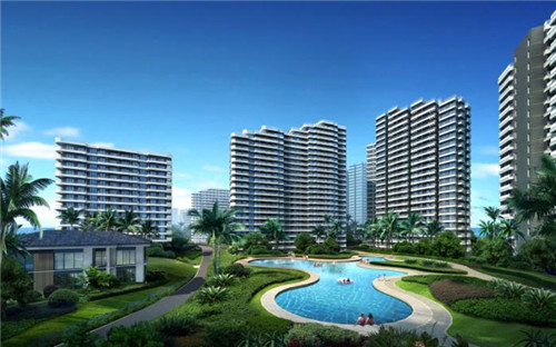 藏排通便贴（通便贴多少钱一盒）