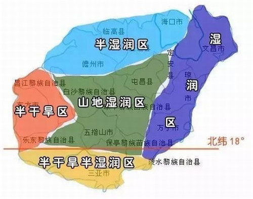 播放个小猫咪照片是什么歌（给我播放小猫咪照片）