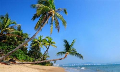 属马的都是什么歌（属马的儿歌）