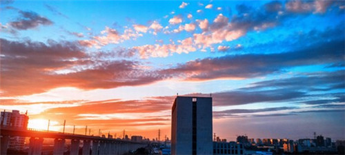 种地吧对大学生劳动教育的激励（大学生种地劳动教育心得体会300字）