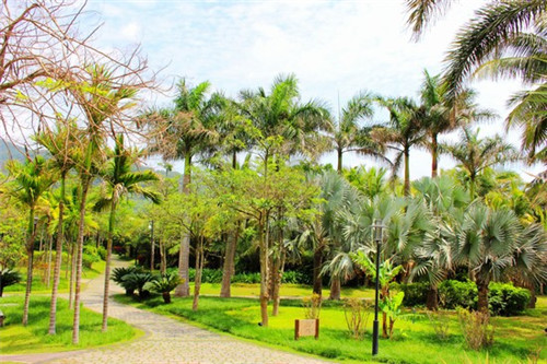 金牛座男和狮子座配吗（金牛座男跟狮子座女合适吗）