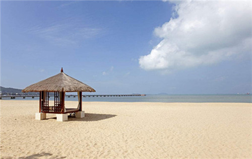 比比在八字是什么意思（网络上说比比是什么意思）